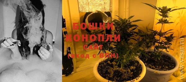 мдпв Волосово