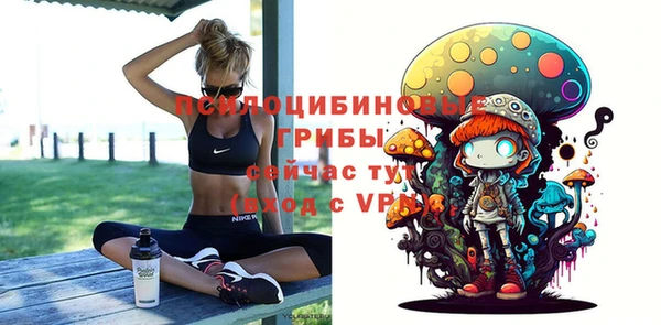 мдпв Волосово
