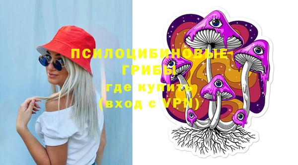 мдпв Волосово