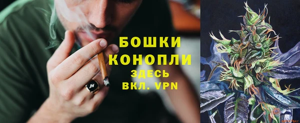 мдпв Волосово