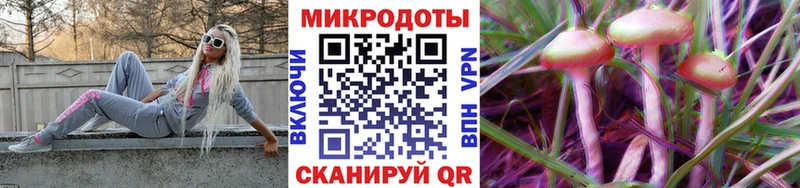 Купить закладки  Касимов  Псилоцибиновые грибы MAGIC MUSHROOMS 